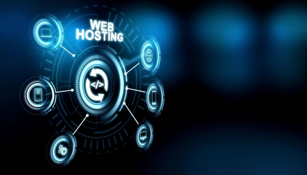 WordPress Hosting vs Standar...