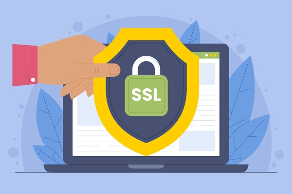 SSL Sertifikası Türleri: DV,...
