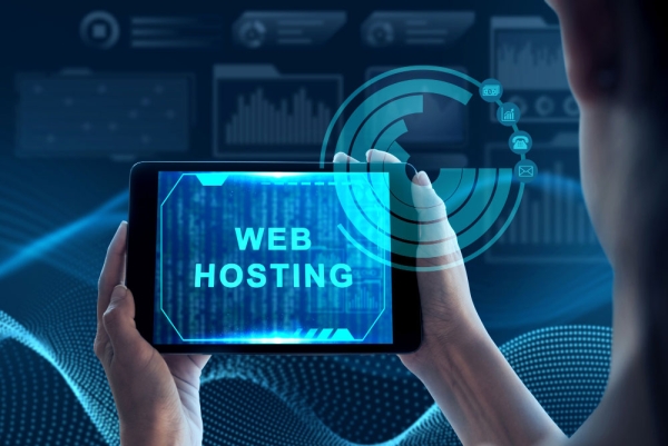 Hostingde Disk, Trafik ve In...